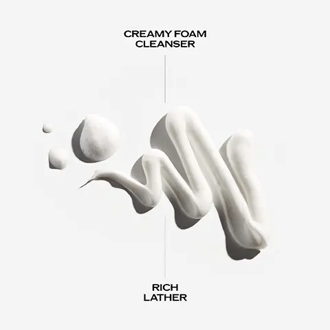 Image 1, CREAMY FOAM CLEANSER RICH LATHER Image 2, CLARIFYING CLEANSER SHISEIDO Caring Cleansing Foo CLARIFIES AND PROMOTES BALANCES SKIN SKIN RADIANCE DEFENDS AGAINST POLLUTANTS Image 3, YOMOGI EXTRACT Prevents skin roughness and promotes radiant skin WHITE CLAY Absorbs excess sebum and impurities and cleanses them away