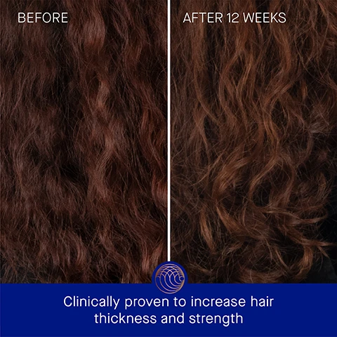 Image 3 - A comparison image showing hair before treatment on the left with a darker color and after 12 weeks on the right with a lighter and healthier appearance, with the text clinically proven to increase hair thickness and strength at the bottom.
Image 4 - Image shows a side-by-side comparison of hair before and after 12 weeks of treatment, with the left side displaying frizzy, loose curls labeled BEFORE and the right side showing smoother, healthier curls labeled AFTER 12 WEEKS, with the text Clinically proven to increase volume and strength at the bottom.
Image 5 - A blue shampoo bottle with a copper cap, surrounded by water droplets, displays text that states Clinically Proven Results, Hair strength is increased by 2.9x, Hair strand thickness is increased by 2.9x, and Hair count is increased by 16%.
Image 6 - A person holding a blue shampoo bottle with a copper cap, textured background, and text highlighting user proven results: 88% agree natural hair growth is visibly improved, 92% agree hair appears more full, 91% agree hair feels thicker, and a note about a 12-week consumer perception study.
Image 7 - A blue bottle of shampoo labeled Augustinus Bader is set against a gradient background with descriptions around it, highlighting TFC8 technology, neem extract, watercress and Indian cress extracts, and maca root extract along with their benefits for hair.
Image 8 - Image shows a comparison of two shampoo products from Augustinus Bader: The Shampoo, which is a weightless gel cleanser ideal for finer hair types, and The Rich Shampoo, which is a rich cream cleanser suitable for thicker hair types; both images have text highlighting their textures, key benefits, key concerns, and ideal hair types.