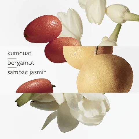 Image 1 - Kumquat, Bergamot, Sambac Jasmin Image 2 - Sambac Jasmin 3 - Kumquat Image 4 - Bergamot