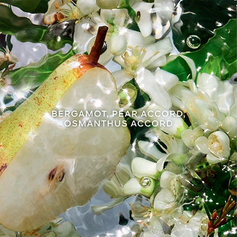 Image 1, bergamot, pear accord, osmanthus accord. image 2, up to 95% natural origin. infinitely refillable. organic beetroot alcohol. aqua allegoria collection. 90% to 95% ingredients of natural origin in accordance with the ISO 16128 calculation including water.