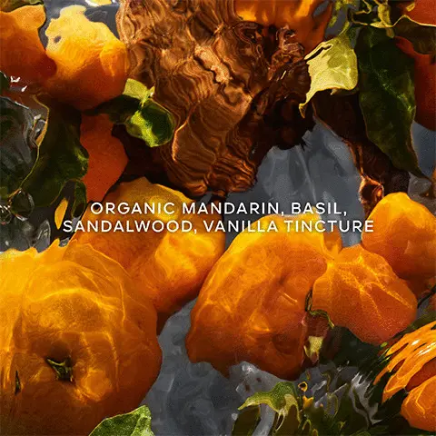 Image 1- Organic mandarin, basil, sandalwood and vanilla tincture. Image 2- A sparkling and luminous aromatic citrus, A woody fruity citrus. Image 3- Up to 95% natural origin, Infinity refillable and organic beetroot alcohol