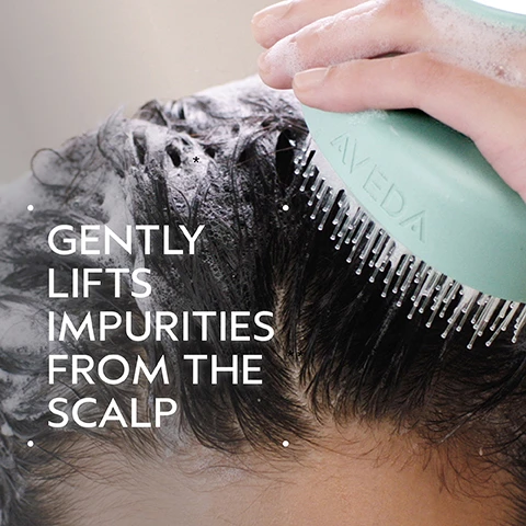 Image 2 - A hand uses a light green AVEDA scalp massager with white bristles to work lather into dark hair on a persons head, with white text on the left side reading GENTLY LIFTS IMPURITIES FROM THE SCALP. Image 3 - A before and after comparison of dark, shoulder-length hair from the back, with the left side showing hair that is slightly frizzy and the right side showing smooth, sleek, styled hair. Text reads BEFORE, AFTER, Unwashed Hair, Results with Scalp Solutions Overnight Serum, Massager, Exfoliating Treatment, Shampoo, Conditioner and Mist. Blow dried with round bristle hairbrush, styled with curling iron. Image 4 - The image displays a HOW TO USE guide for scalp solutions with four steps: 01 EXFOLIATE shows a hand applying Scalp Solutions Exfoliating Scalp Treatment to curly hair; 02 MASSAGE shows a hand using a Scalp Solutions Stimulating Scalp Massager on lathered hair; 03 CLEANSE & CONDITION shows a hand working Scalp Solutions Balancing Shampoo & Replenishing Conditioner into wet hair; and 04 TREAT & REFRESH shows a hand applying Scalp Solutions Overnight Scalp Renewal Serum, Hydrating Hair and Scalp Masque & Refreshing Protective Mist to curly hair with a dropper. Image 5 - A light teal Aveda Scalp Solutions exfoliating scalp treatment tube is presented alongside a jade roller in a smoky glass, a light teal scalp massage brush, and a small teal claw clip on a light teal shelf, featuring text that reads AVEDA, THE ART AND SCIENCE OF PURE FLOWER AND PLANT ESSENCES, scalp solutions, exfoliating scalp treatment, exfoliates and invigorates, traitement exfoliant, cuir chevelu, exfolie et revigore, and AVEDA on the brush. Image 6 - The image displays three white certification logos against a dark green leafy background: a 100% Vegan logo with a large V, a Certified B Corporation logo with a B inside a circle, and a Cruelty Free International logo featuring a jumping rabbit and stars.