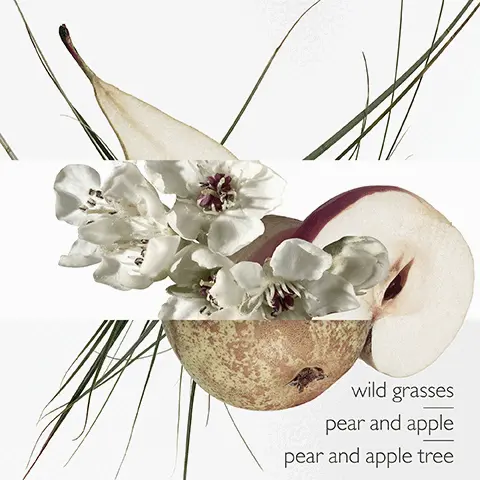Image 1, wild grasses pear and apple pear and apple tree Image 2, pear and apple tree Image 3, pear and apple Image 4, wild grasses