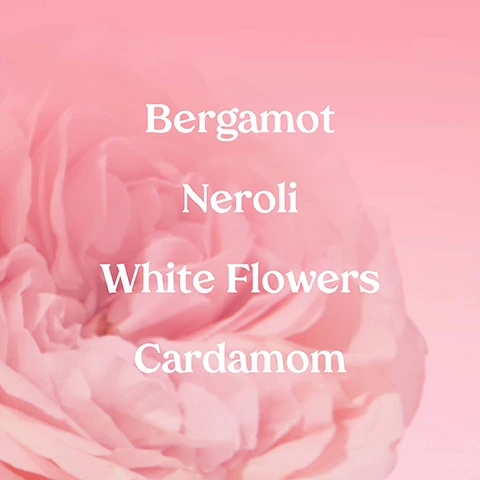 Image 1, bergamot, neroli, white flowers, cardamom. image 2, for everybody, everywhere