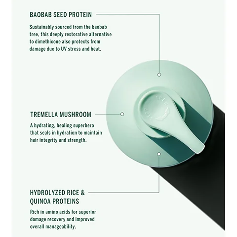 BAOBAB SEED PROTEIN Sustainably sourced from the baobab tree, this deeply restorative alternative to dimethicone also protects from damage due to UV stress and heat. TREMELLA MUSHROOM A hydrating, healing superhero that seals in hydration to maintain hair integrity and strength. HYDROLYZED RICE & QUINOA PROTEINS Rich in amino acids for superior damage recovery and improved overall manageability. STOP