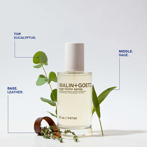 Image 1 - A glass bottle of (MALIN+GOETZ) sage home spray is displayed with green leaves and a brown leather band, with labeled text indicating TOP. EUCALYPTUS, MIDDLE. SAGE, and BASE. LEATHER.
Image 2 - A hand holding a bottle of MALIN+GOETZ home spray against a light-colored wall, with the text eliminates 95% of unwanted smells + creates lasting freshness for up to 2 hours. and a footnote about a clinical research study.