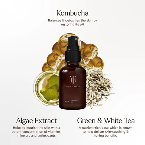 Image 1 - A True Botanicals Renew Nutrient Mist spray bottle is surrounded by golden spheres representing kombucha, green algae extract in a jar, and dried white tea leaves, with accompanying text that reads Kombucha Balances & detoxifies the skin by restoring its pH, Algae Extract Helps to nourish the skin with a potent concentration of vitamins, minerals and antioxidants, and Green & White Tea A nutrient-rich base which is known to help deliver skin-soothing & toning benefits. Image 2 - Image on a light background with several large white reflective spheres, featuring text that reads RENEW NUTRIENT MIST, A Hydrating Face Mist You Can Take Anywhere that Quenches Skin with Antioxidants, followed by bullet points Hydrates all skin types, Protects skin from environmental aggressors, Sets skin for makeup, Pregnancy safe, and a row of certification logos: a leaping bunny, EWG VERIFIED For Your Health, MADE SAFE www.madesafe.org, PETA APPROVED Global Animal Test Policy, MICROBIOME FRIENDLY, VEGAN, and an icon stating Pregnancy Safe. Image 3 - A document details product safety standards on a background of blurred green foliage, featuring a MADE SAFE logo and the text MADE WITH SAFE INGREDIENTS, MADE SAFE, WWW.MADESAFE.ORG, along with text stating Every True Botanicals product is certified MADE SAFE which is the most comprehensive safety standard available and bans 6,500+ known toxic substances to protect people and the planet, followed by two lists, one with X marks for Sodium Lauryl Sulfate (SLS), Phthalates or Synthetic Fragrances, Parabens or Phenoxyethanol, Fillers, Silicones, Chemical Sunscreens, and another with checkmarks for Dermatologist Tested, EWG Certified, Microbiome Friendly, Vegan & Cruelty-Free, Hypoallergenic, Sustainably Sourced, and finally various certification logos displayed at the bottom.