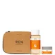 REN Clean Skincare All is Bright Set