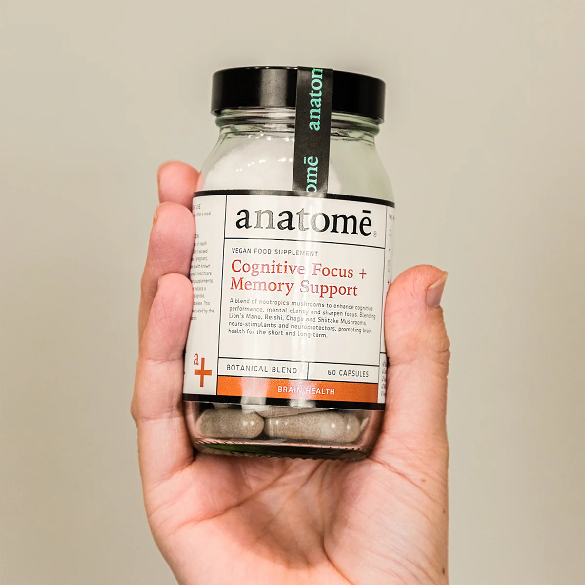 Brain Support Supplements For Memory And Focus Brain Support Supplements For Memory And Focus