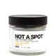 PLANT Apothecary NOT A SPOT Acne Treatment Mask
