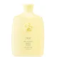 Oribe Hair Alchemy Resilience Shampoo 250ml