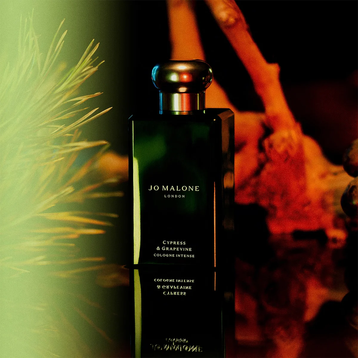 Jo Malone London Cypress and Grapevine Cologne Intense 50ml Cult