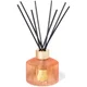 TRUDON Diffuser 350ml - Tuileries
