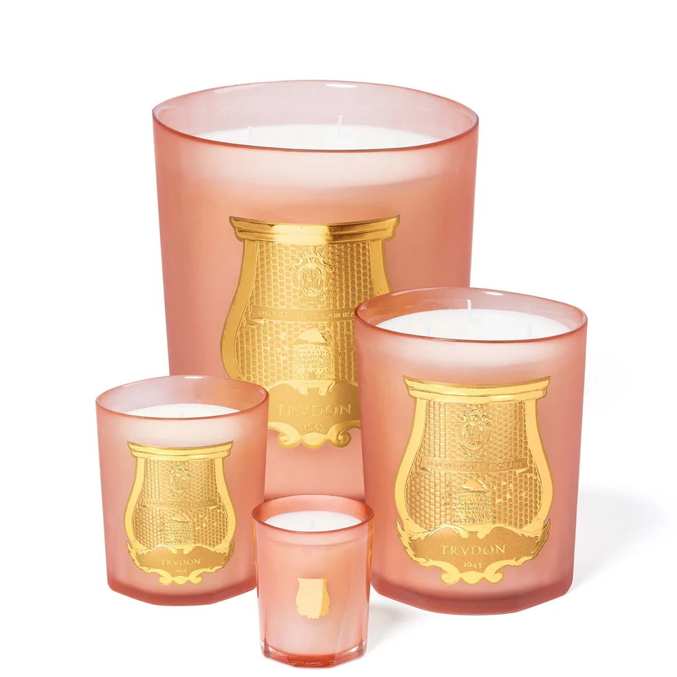 TRUDON Refill Diffuser 300ml - Tuileries Image 1