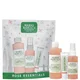 Mario Badescu Rose Essential Collection (Worth £20.00)