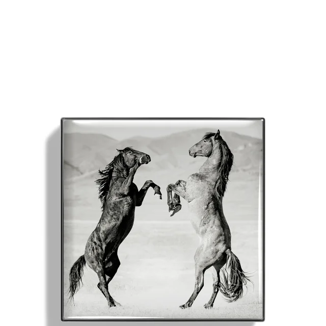 Chantecaille Wild Mustang Luminescent Eyeshadow 2.5g (Various Shades)