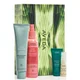 Aveda Healthy Hair and Scalp Detox Set (Worth £87.00)
