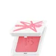 Fenty Beauty Fenty Cheeks Suede Powder Blush- Brickkkk