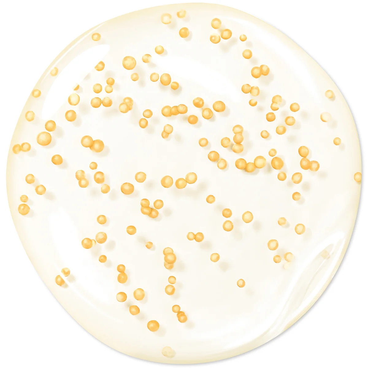 รายละเอียดสินค้า