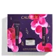 Caudalie The Ultimate Anti-Ageing Solution (Worth £99.00)