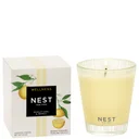 NEST New York Sunlit Yuzu & Neroli Classic Candle 8.1 Oz