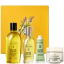 L'Occitane Almond Body Collection (Worth £95.00)