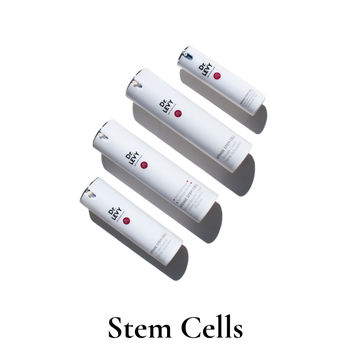 stem cell